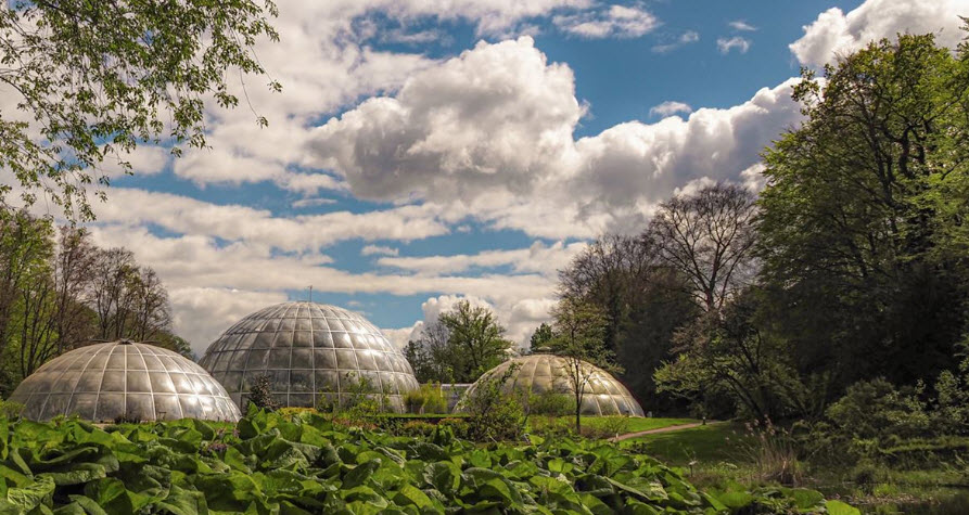 Botanical Garden, Zürich, Switzerland, Switzerland